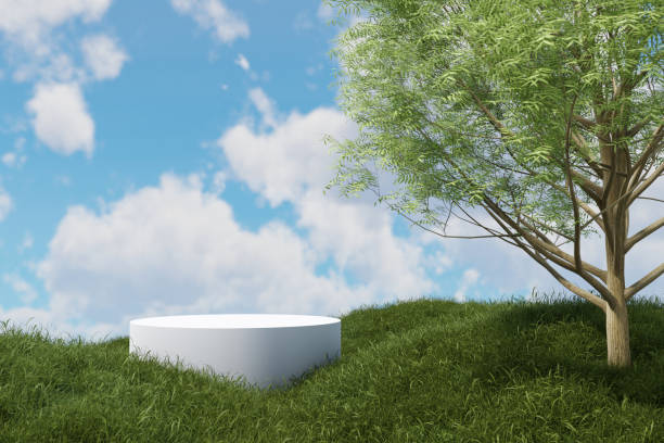 istock Abstact 3d render spring scene and Natural podium background, White podium on the  grass field with big tree backdrop blue sky and clouds for product display advertising or etc 1488727362
