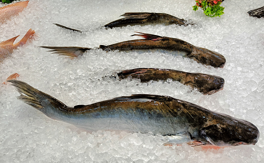Fresh fish on ice for sale