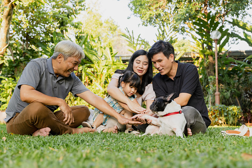 Family, Asian, Multigenerational, outdoor.