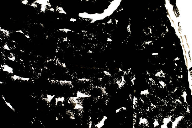 Abstract photo between white and black color.
