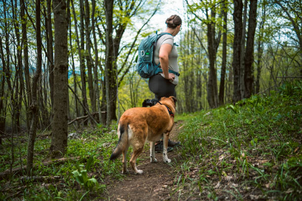 istock Following the forest path to not get lost 1488757143