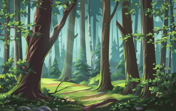 Beautiful Forest Vector illustration of a beautiful mixed coniferous-deciduous forest with bushes, grass, mushrooms and flowers. deep green floral wallpaper stock illustrations