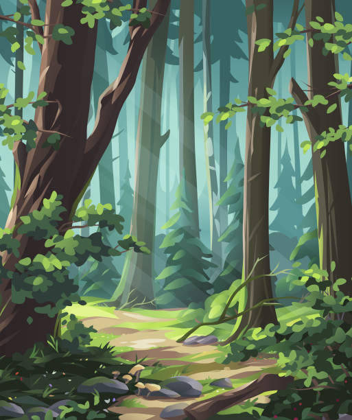 In The Forest Vector illustration of a beautiful mixed coniferous-deciduous forest with bushes, grass, mushrooms and flowers. Glade stock illustrations