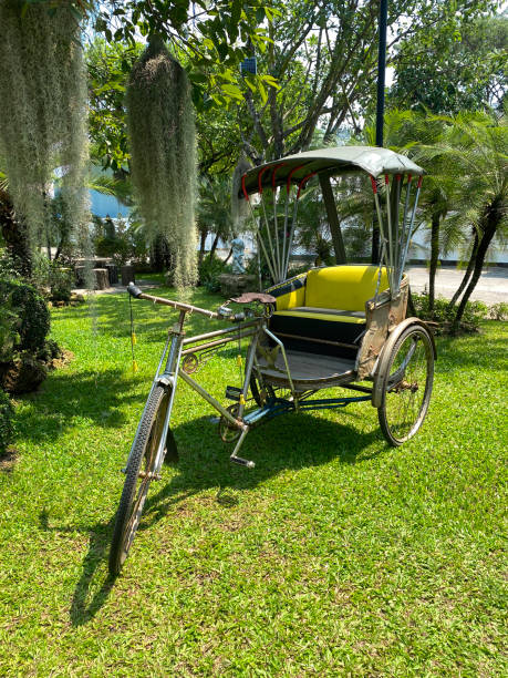 istock old vintage tricycle on a lawn no people. front view. 1488760898