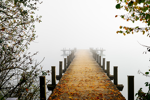 Jetty in the fog. Mystical foggy landscape at the lake. Morning fog in autumn.