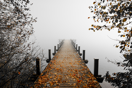 Jetty in the fog. Mystical foggy landscape at the lake. Morning fog in autumn.