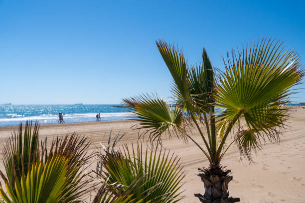 istock Two chairs on a sandy beach in Spain in spring 1488765917