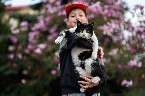 Boy in cap hold cat in hands against nice spring day near magnolia blooming tree.