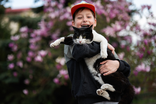 Boy in cap hold cat in hands against nice spring day near magnolia blooming tree.