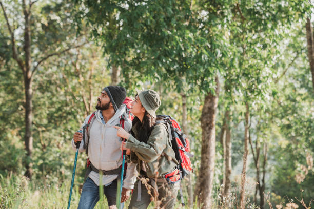 istock Travelers hiking with backpack traveling in forest wild and look around and explore while walking in nature wood. happy holiday vacation trip. 1488772215