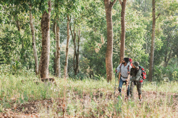 istock Travelers hiking with backpack traveling in forest wild and look around and explore while walking in nature wood. happy holiday vacation trip. 1488772299