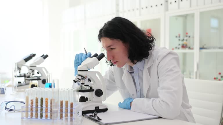 Lass test tubes with food additives cereals and grains in laboratory