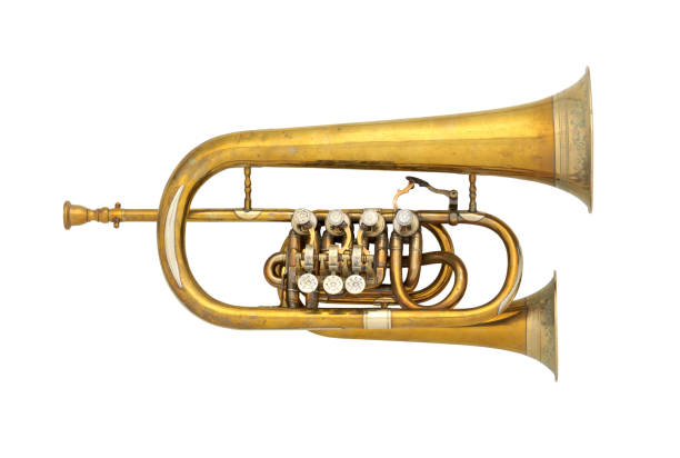 istock Old flugelhorn brass musical instrument isolated 1488773363