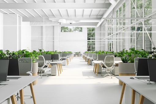 Eco-Friendly Modern Open Plan Office Interior With Tables, Office Chairs, Computers And Plants. 3D Rendering