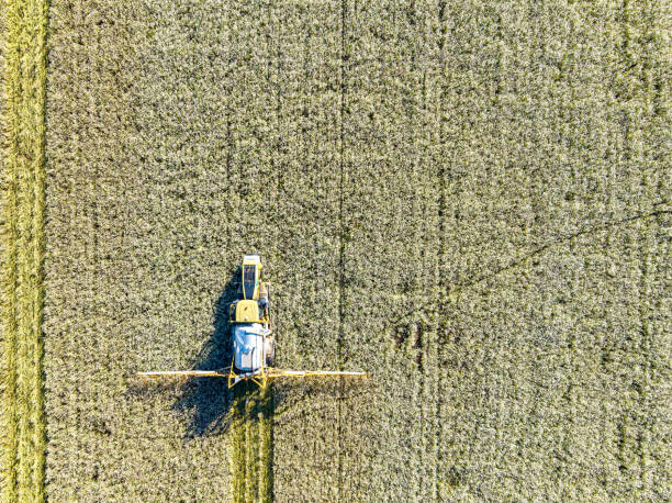 istock Agriculutural crops sprayer in a wheat field seen from above 1488773806