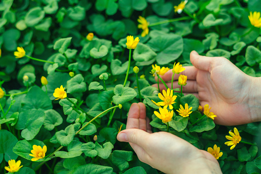 Woman enjoying nature in springtime