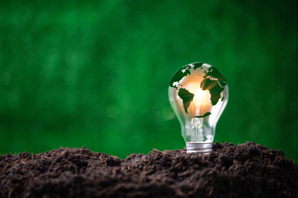 Concept of renewable energy innovation and green earth. Sustainable clean energy sources. Environmental protection, Idea sustainable energy sources. Light bulb put on soil on green nature background. stock photo