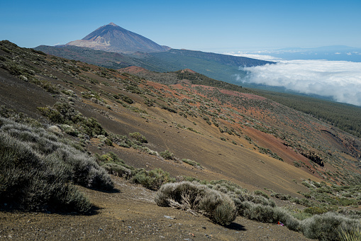 Teide national park of Tenerife, Canary Islands