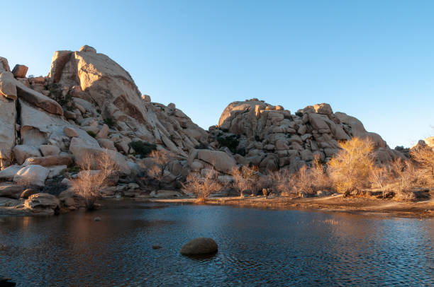 istock Barkers Dam in Joshua Tree National Park 1488781870