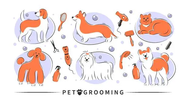 Vector illustration of Grooming 44 NEW