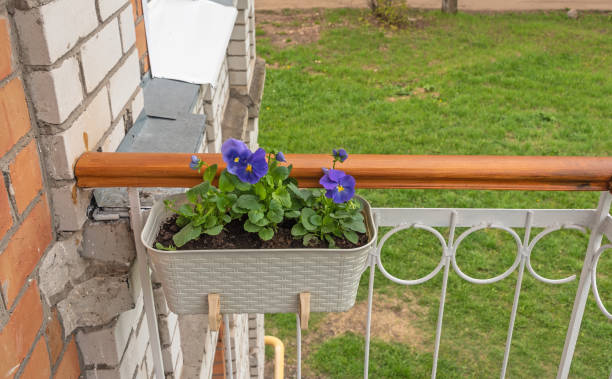 balcony decorated with flowers - Location: Barjols, Provence, France