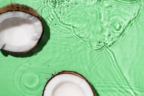 istock Summer background with coconuts on water background with water splashes. 1488787572