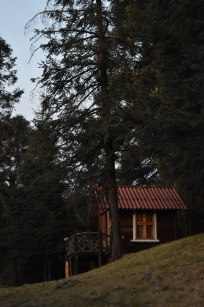 istock Cabin in the Woods 1488787618