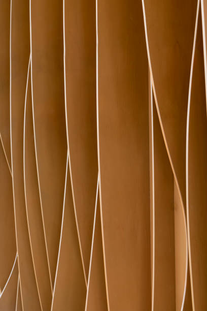 istock Wood interior wall - stock photo 1488787669