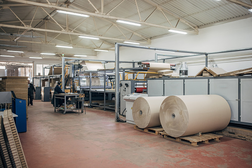 Paper rolls lined up waiting to be put on printing press