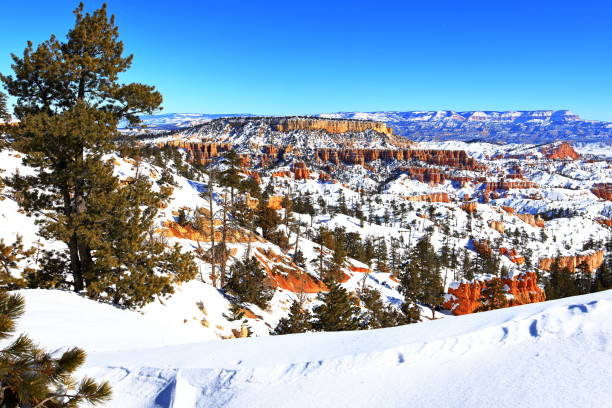 istock Bryce Canyon National Park in Utah, USA 1488791102