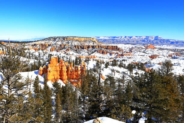 istock Bryce Canyon National Park in Utah, USA 1488791140