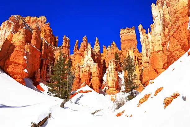 Photo of Queens Garden Trail in Bryce Canyon National Park  Utah, USA