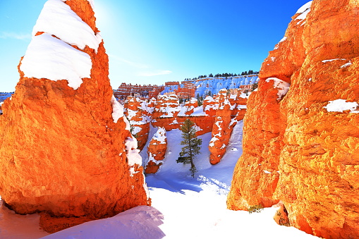 Queens Garden Trail in Bryce Canyon National Park, a Park with natural amphitheater, many overlooks and trails in Utah, USA