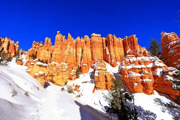 Photo of Queens Garden Trail in Bryce Canyon National Park  Utah, USA