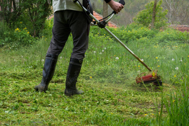 istock A man holds a grass trimmer and cuts tall grass in his yard on a spring morning 1488794301