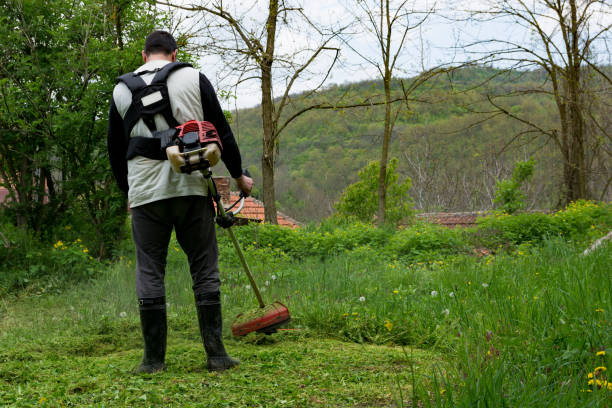 istock A man is trimming green grass with a hand held trimmer in his rural backyard on a spring day 1488794307