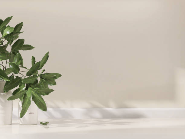 istock Empty space on cream cabinet, two white ceramic vase with green tropical branch and leaf in sunlight, shadow on beige wall 1488794326