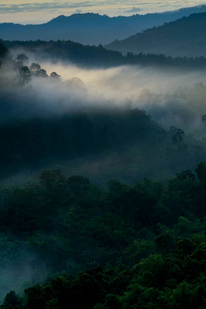 a view of mountain range, or valley in tropical rainforest during the sunrise, with subtle fog and greens stock photo