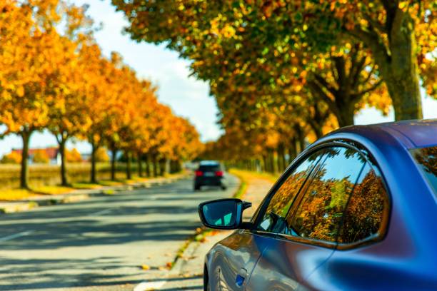 istock Blue car on the road lined with autumn trees. Bavaria, Germany. 1488796478