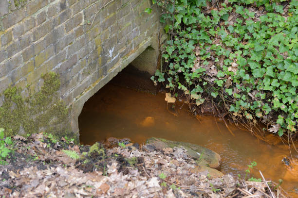 istock Rusty dirty water in a ditch for water in a forest area. Environmental pollution 1488799714