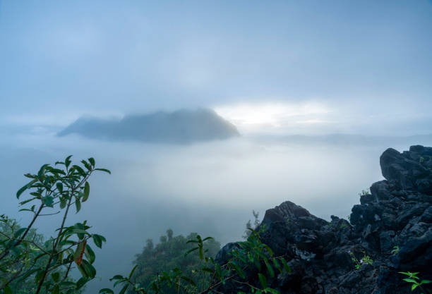 Misty jungle rainforest with fog and layered mountains range from above during the sunrise. Aerial view. stock photo