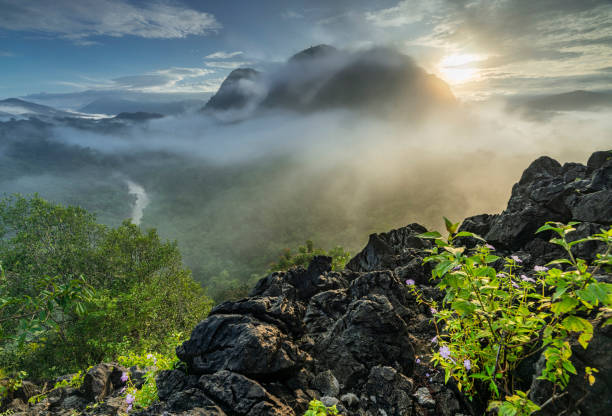 Misty jungle rainforest with river, fog and mountains range from above in the morning. Aerial view. stock photo