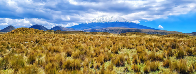 Ecuador, Cotopaxi, Cotopaxi National Park, snow-capped Cotopaxi volcano and the surrounding steppes under a cloudy sky