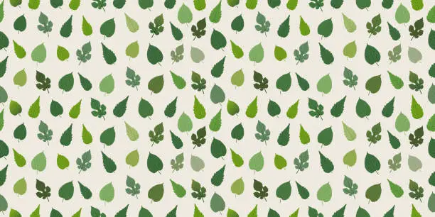 Vector illustration of Seamless Leaves Pattern Background