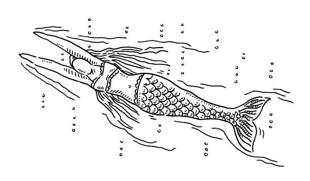 Mermaid Woman Drawing Hand-drawn vector drawing of a Mermaid Woman. Black-and-White sketch on a transparent background (.eps-file). Included files are EPS (v10) and Hi-Res JPG. mermaid dress stock illustrations