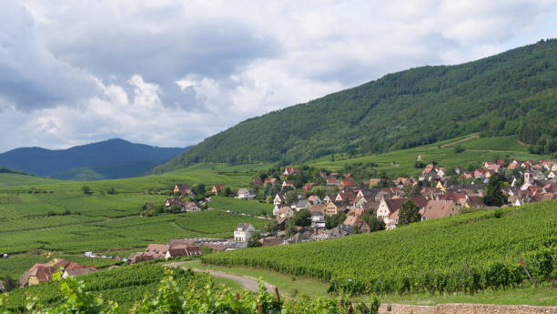 istock village surrounded by vineyards in the mountains 1488803436