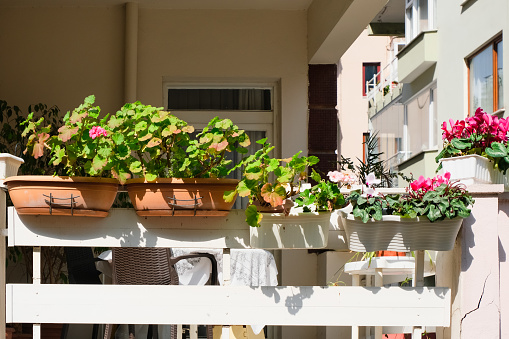cozy patio corner with flowerbeds, balcony gardening