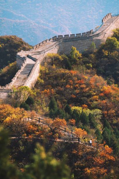istock many stairs run up a hillside near a tree filled hill 1488804833