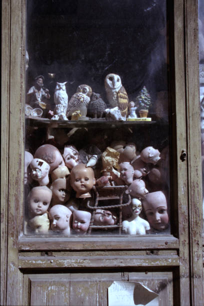 istock heads of old dolls in a showcase 1488807534