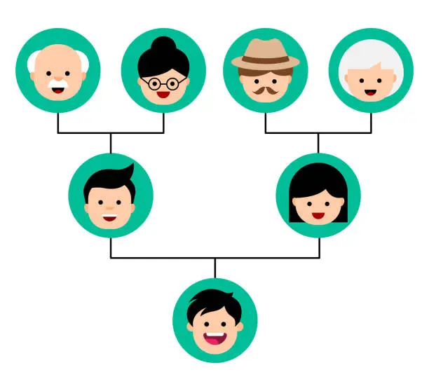 Vector illustration of Genogram in cartoon style. Family tree chart. Genealogy tree structure.